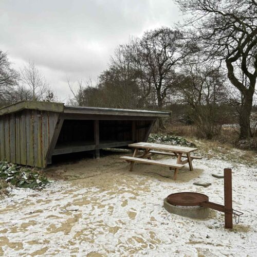 Shelter